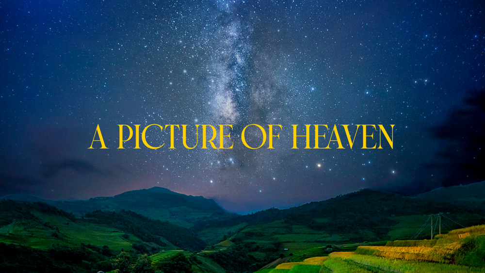 A View Of Heaven Image